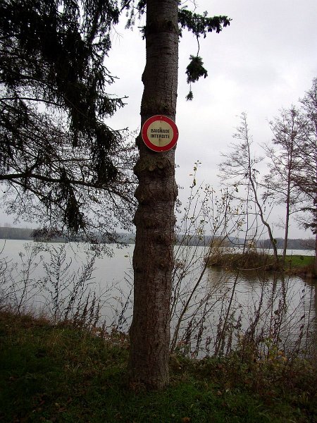 2009 01 Ornitho à Ecluzelles 13